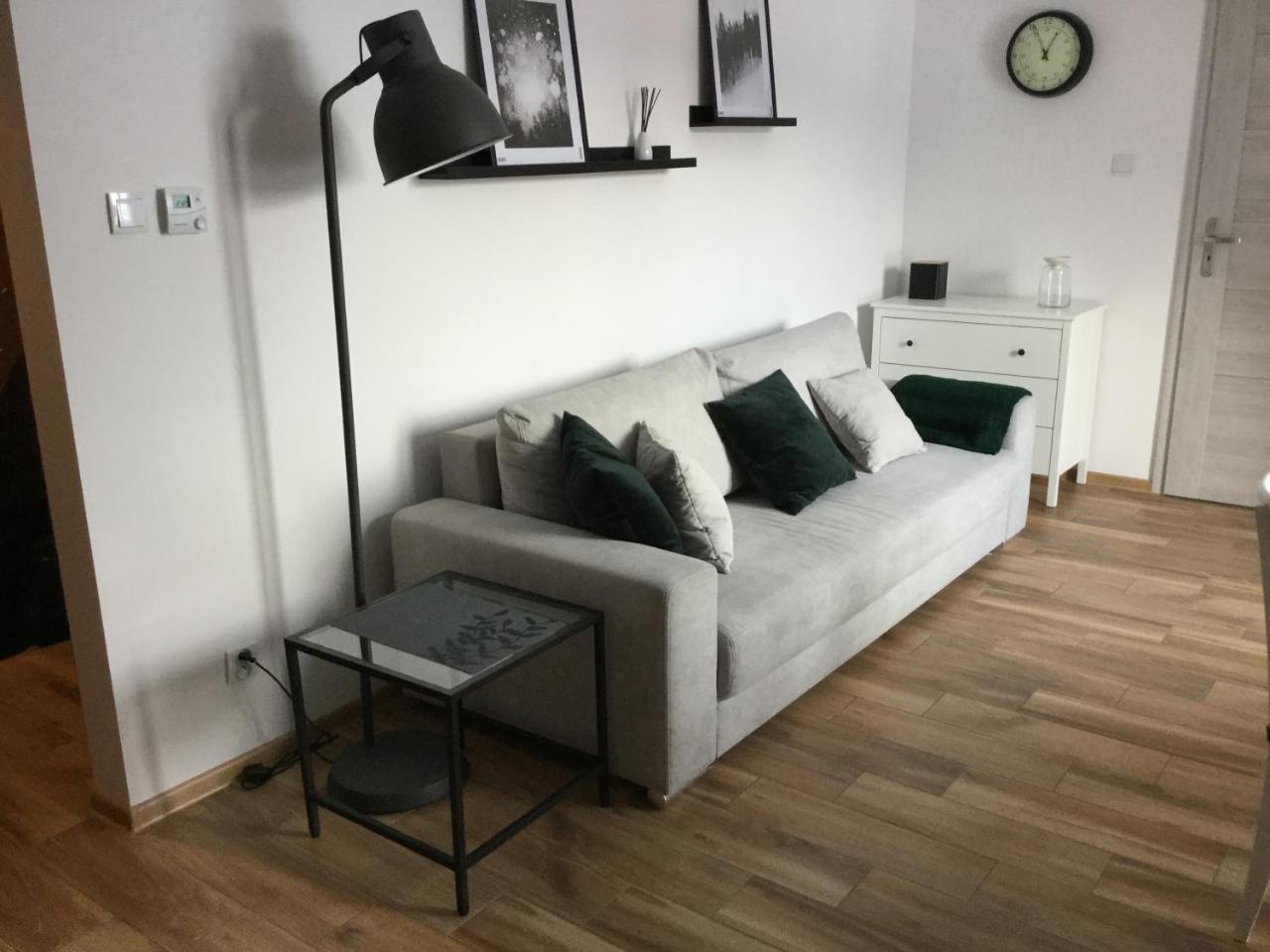 Apartamenty Everysky - Konopnickiej 11 卡尔帕奇 外观 照片